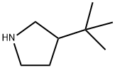 3-tert-Butylpyrrolidine Struktur