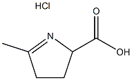 5-methyl-3,4-dihydro-2H-pyrrole-2-carboxylic acid hydrochloride Struktur