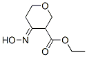 2H-Pyran-3-carboxylicacid,tetrahydro-4-(hydroxyimino)-,ethylester(9CI) Struktur