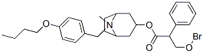 N-(4-Butoxybenzyl)atropine bromide Struktur