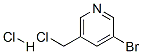 3-BROMO-5-(CHLOROMETHYL)PYRIDINE HYDROCHLORIDE Struktur