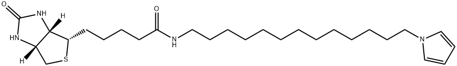 1H-Thieno[3,4-d]iMidazole-4-pentanaMide, hexahydro-2-oxo-N-[13-(1H-pyrrol-1-yl)tridecyl]-, (3aS,4S,6aR)- Struktur