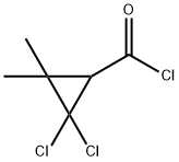 Cyclopropanecarbonyl chloride, 2,2-dichloro-3,3-dimethyl- (9CI) Struktur