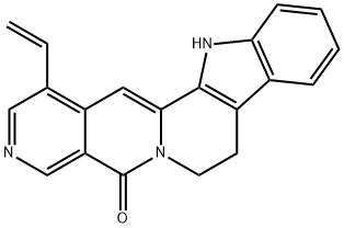 Angustine Struktur