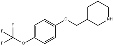 3-([4-(TRIFLUOROMETHOXY)PHENOXY]METHYL)PIPERIDINE Struktur