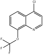 4-CHLORO-8-TRIFLUOROMETHOXYQUINOLINE Struktur