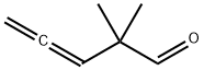 2,2-dimethylpenta-3,4-dienal