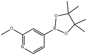 2-METHOXYLYPYRIDINE-4-BORONIC ACID PINACOLATE Struktur