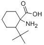 1-AMINO-2-TERT-BUTYLCYCLOHEXANECARBOXYLIC ACID Struktur