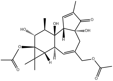 PHORBOL 13,20-DIACETATE Struktur