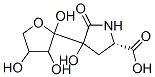 4-Hydroxy-5-oxo-4-(tetrahydro-2,3,4-trihydroxyfuran-2-yl)-L-proline Struktur