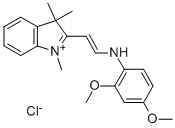 BASIC YELLOW 11 Struktur