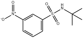 N-T-BUTYL 3-NITROBENZENESULFONAMIDE Struktur