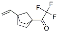 Ethanone, 1-(4-ethenylbicyclo[2.2.1]hept-1-yl)-2,2,2-trifluoro- (9CI) Struktur