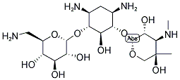 GENTAMICIN B Struktur