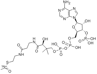 ACETYL COENZYME A, [ACETYL-1-14C] Struktur