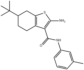 2-AMINO-6-TERT-BUTYL-N-(3-METHYLPHENYL)-4,5,6,7-TETRAHYDRO-1-BENZOTHIOPHENE-3-CARBOXAMIDE Struktur