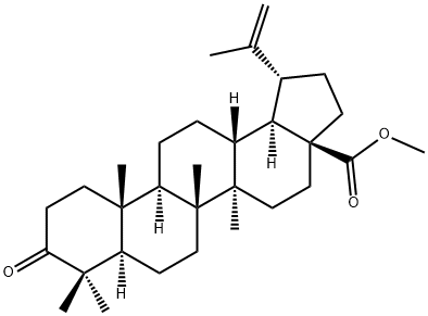 Betulonicacidmethylester Struktur