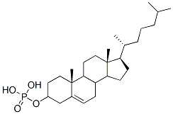 cholesteryl phosphate Struktur