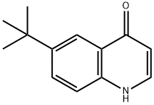 6-tert-Butyl-quinolin-4-ol Struktur