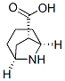 8-Azabicyclo[3.2.1]octane-6-carboxylicacid,(1S,5R,6S)-(9CI) Struktur