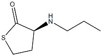 2(3H)-Thiophenone, dihydro-3-(propylamino)-, (3S)- (9CI) Struktur