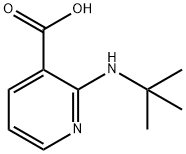 3-Pyridinecarboxylicacid,2-[(1,1-dimethylethyl)amino]-(9CI) Struktur