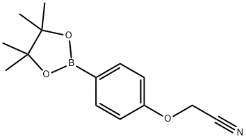 4-CYANOMETHOXY-PHENYLBORONIC ACID, PINACOL ESTER Struktur