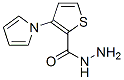 2-Thiophenecarboxylicacid,3-(1H-pyrrol-1-yl)-,hydrazide(9CI) Struktur