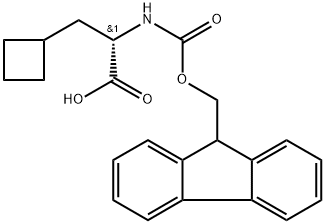 478183-62-9 結(jié)構(gòu)式