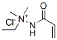 trimethyl[(1-oxoallyl)amino]methylammonium chloride Struktur