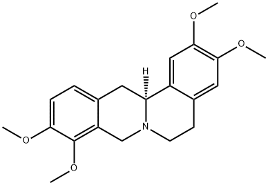 rotundine 