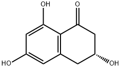 SCYTALONE Struktur