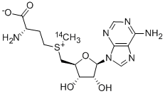 S-ADENOSYL-L-METHIONINE, [METHYL-14C] Struktur