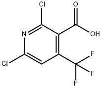 2,6-DICHLORO-4-TRIFLUOROMETHYL-NICOTINIC ACID price.