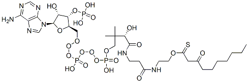 S-[2-[3-[[4-[[[(2R,3S,4R,5R)-5-(6-aminopurin-9-yl)-4-hydroxy-3-phosphonooxyoxolan-2-yl]methoxy-hydroxyphosphoryl]oxy-hydroxyphosphoryl]oxy-2-hydroxy-3,3-dimethylbutanoyl]amino]propanoylamino]ethyl] 3-oxodecanethioate Struktur