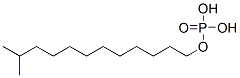 isotridecyl dihydrogen phosphate Struktur