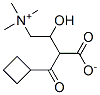 cyclobutanecarbonylcarnitine Struktur