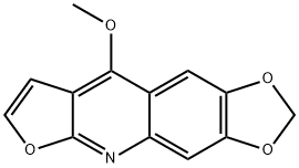 MACULINE Struktur