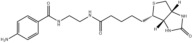 1H-Thieno[3,4-d]iMidazole-4-pentanaMide, N-[2-[(4-aMinobenzoyl)aMino]ethyl]hexahydro-2-oxo-, (3aS,4S,6aR)- Struktur