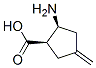 (1R,2S)-2-amino-4-methylidene-cyclopentane-1-carboxylic acid Struktur