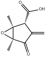 methylenomycin A Struktur