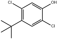 2,5-DICHLORO-4-TERT-BUTYLPHENOL Struktur