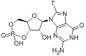 GUANOSINE 3',5'-CYCLIC PHOSPHATE, [GUANOSINE 8-3H] Struktur