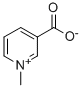 Trigonelline Struktur