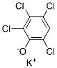 2,3,4,6-tetrachlorophenol, potassium salt Struktur