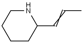 γ-coniceine Struktur