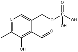 Pyridoxal phosphate Structure