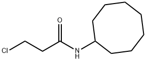 3-chloro-N-cyclooctylpropanamide Struktur