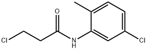 3-chloro-N-(5-chloro-2-methylphenyl)propanamide Struktur